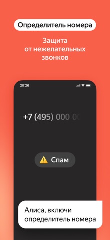 Скриншот Яндекс — с Алисой AI 9