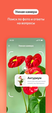 Скриншот Яндекс — с Алисой AI 8